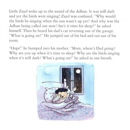 Zayds Curious Little Stories Series. Set of 10 Books - Image 3