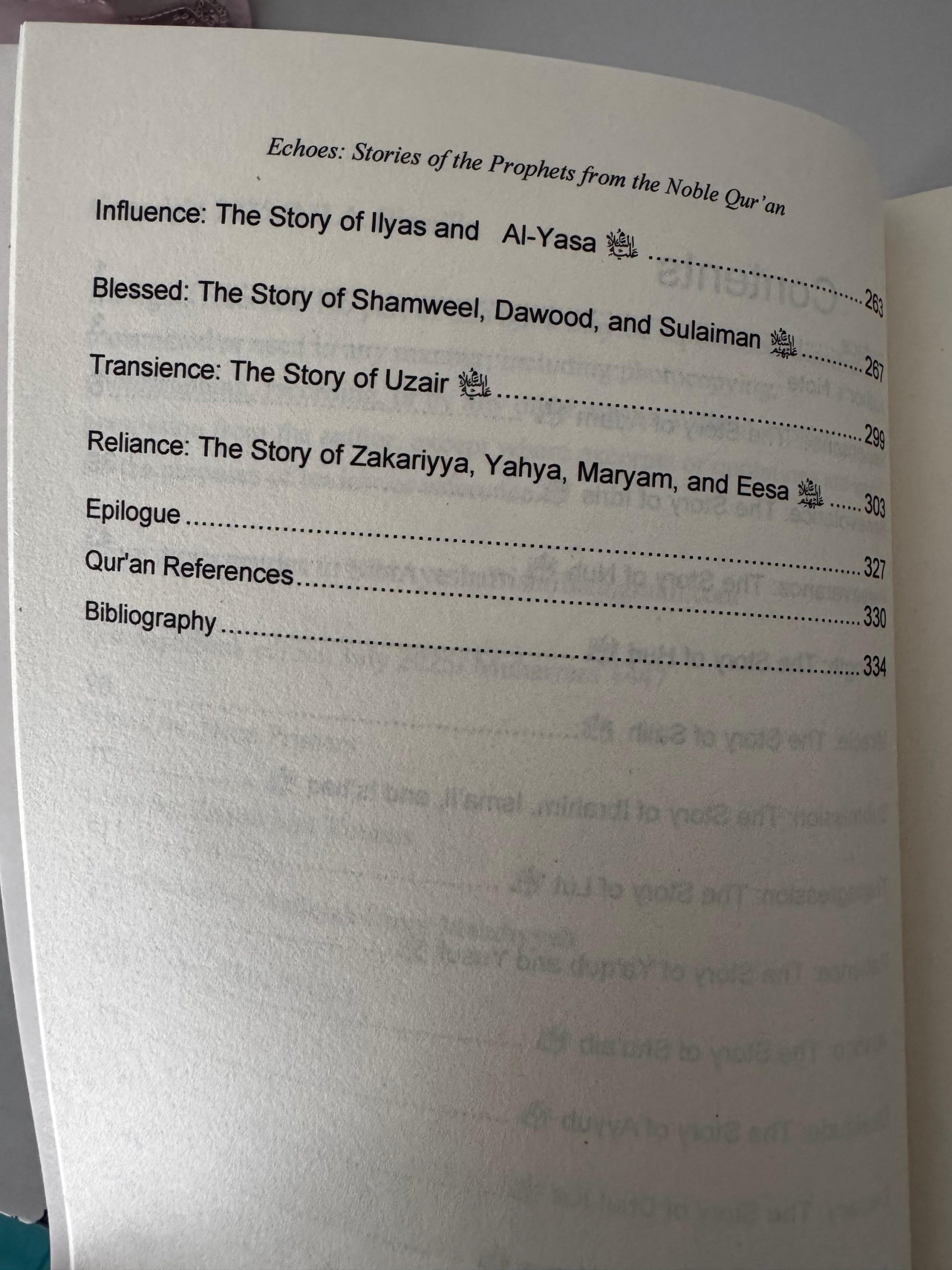 Echoes - Stories of the Ambiyaa Alayhimus Salaam from the Quraan Kareem - Image 5