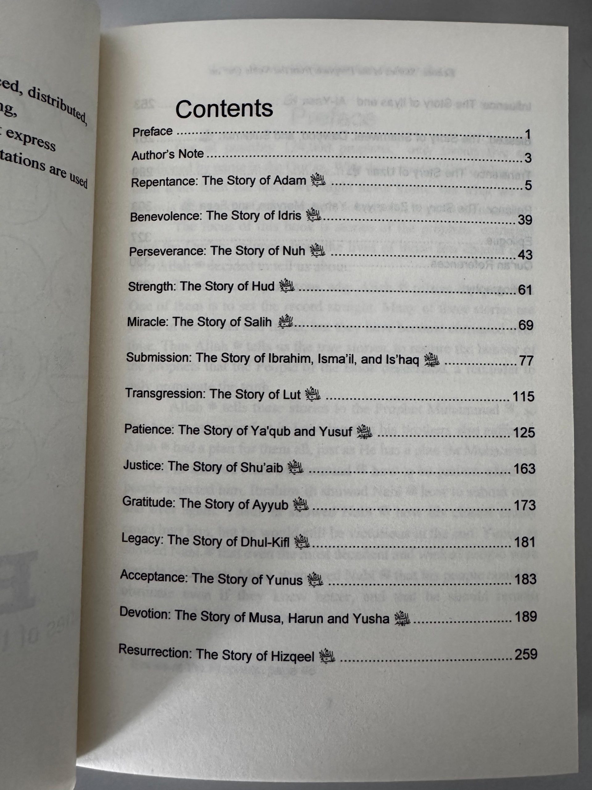 Echoes - Stories of the Ambiyaa Alayhimus Salaam from the Quraan Kareem - Image 3